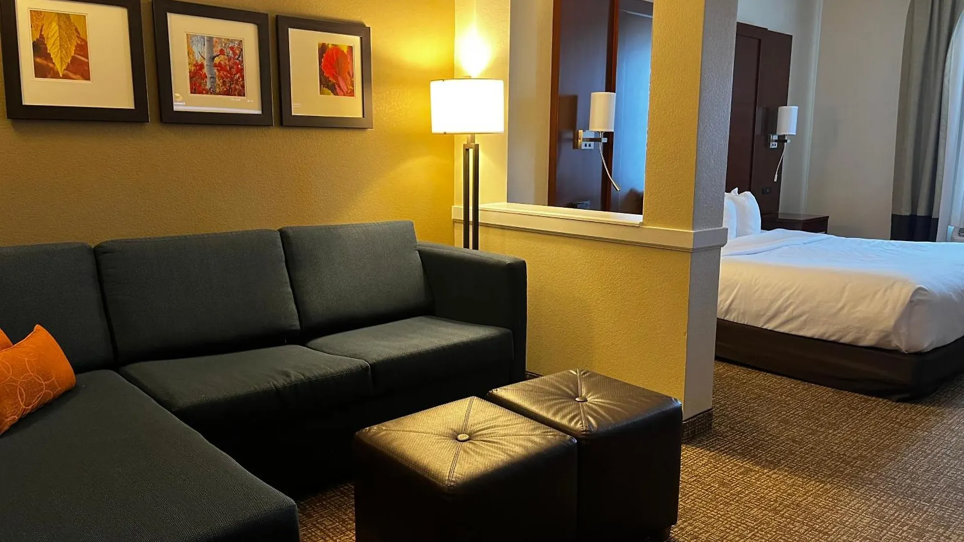 Comfort Suites Denver International Airport Hotel